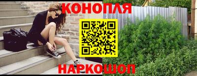 apvp Камышлов