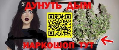 PSILOCYBIN Кандалакша