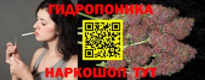 PSILOCYBIN Кандалакша