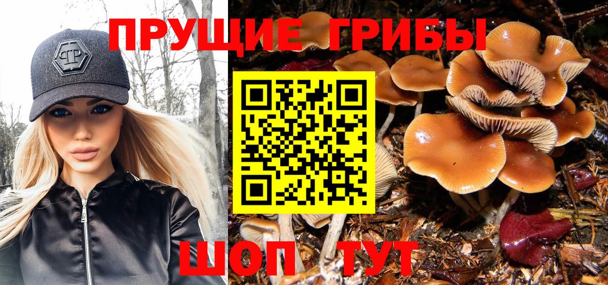 Псилоцибиновые грибы Psilocybe  Галлюциногенные грибы Magic Shrooms  Вход с VPN  Мирный 
